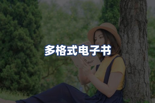 多格式电子书